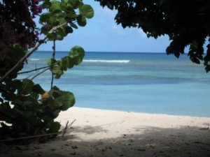 BEACH | YOGA + DIVING TOBAGO | Yoga Holidays, Adventures & Retreats with Wenche Beard